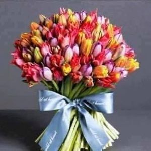 Meet your Posher, Roxanne